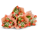 Pro jaké příležitosti se hodí tulipány?